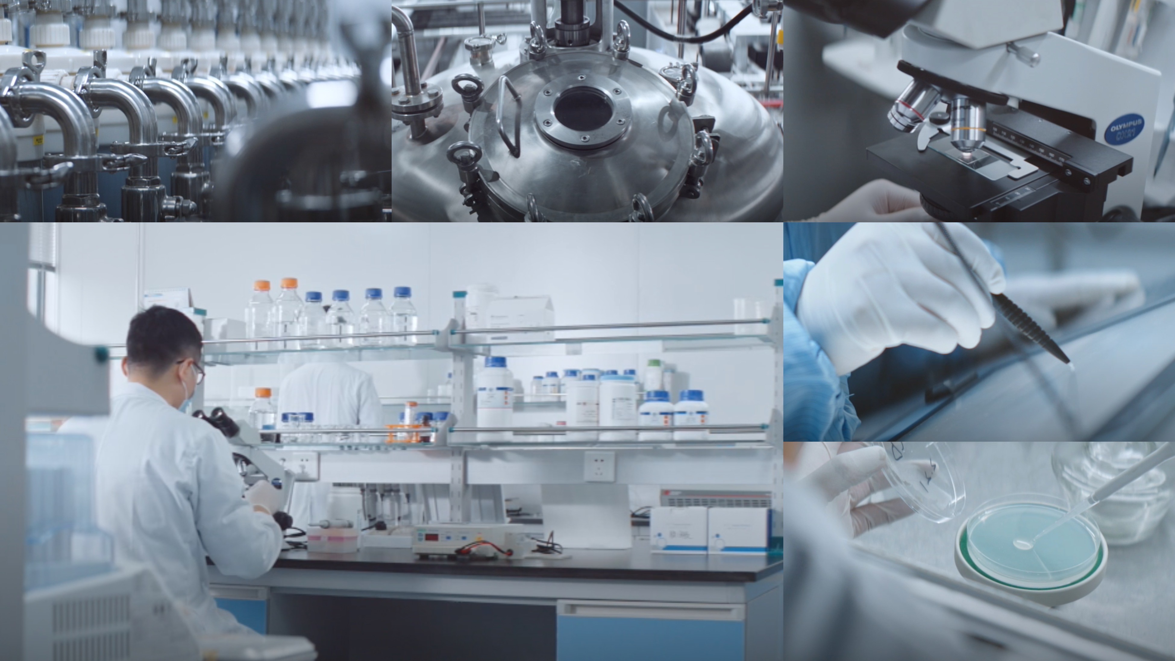 江苏yl23411永利|生物医药|重组胶原蛋白|unicollagen