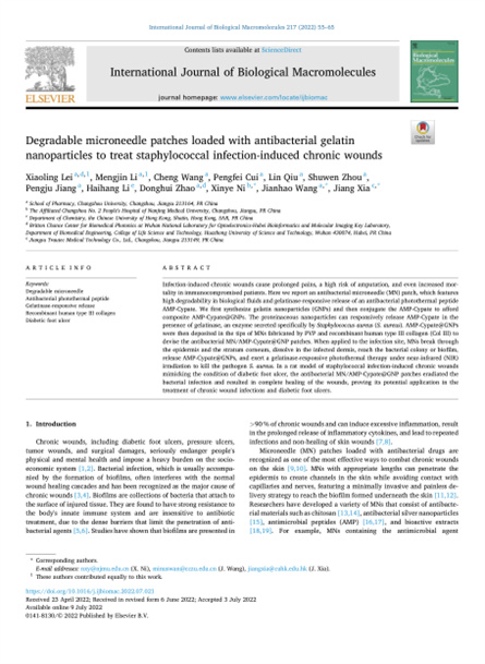 2022 动物研究，重组胶原微针，用于慢性伤口