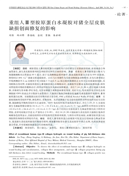2019 动物研究，重组人Ⅲ型胶原蛋白水凝胶对猪全层皮肤缺损创面修复的影响